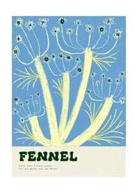 Fennel Illustration 