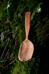 Image 2 of Birch Spoon