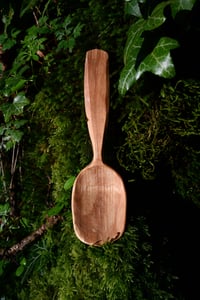 Image 1 of Birch Spoon