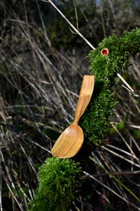 Cotinus Spoon