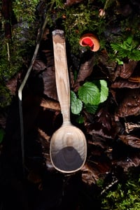 Image 2 of Sweet Chestnut Spoon