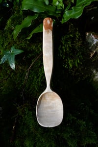 Image 1 of Birch serving spoon 