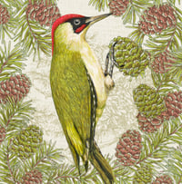 Image 3 of HAND DRAWN GREEN WOODPECKER SIGNED ART PRINT