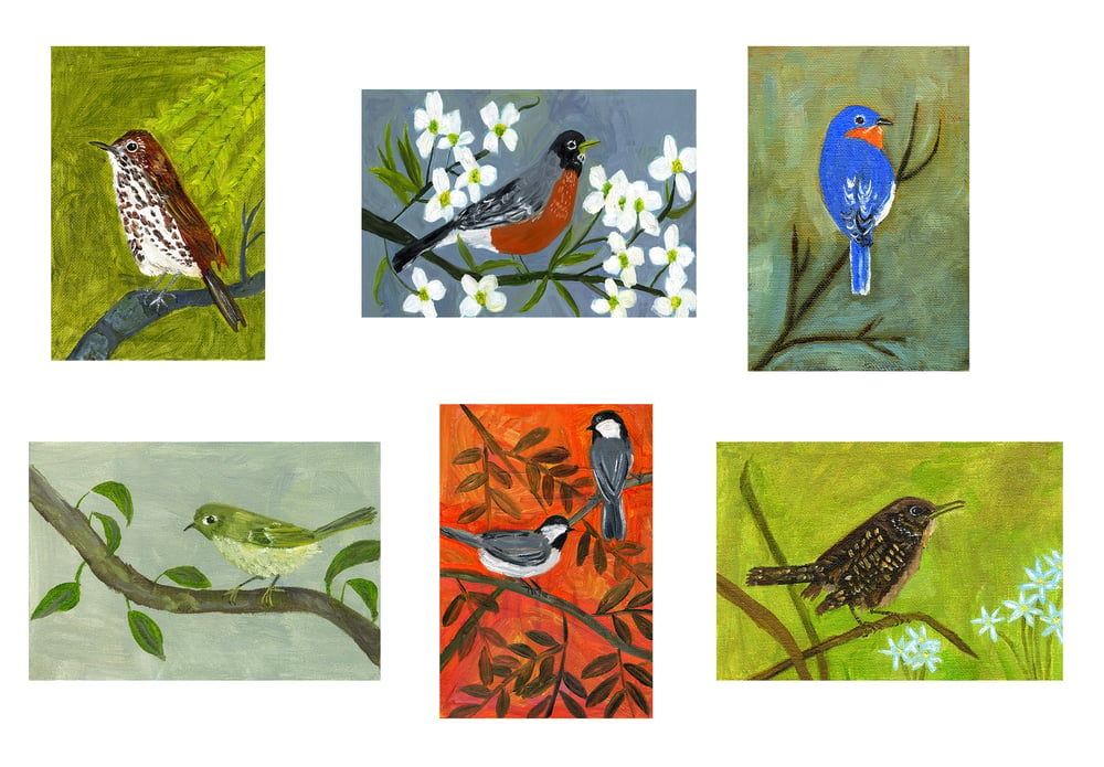 Image of Birds, Birds, Birds - note cards