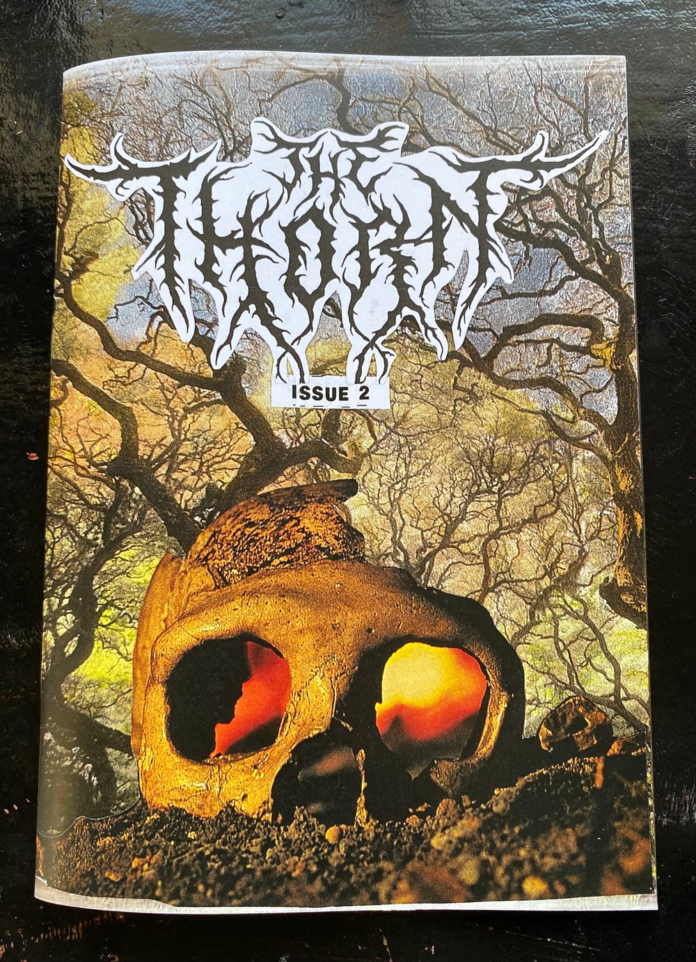 The Thorn Issue 2