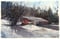 Image of A Foot in Vermont (Original)