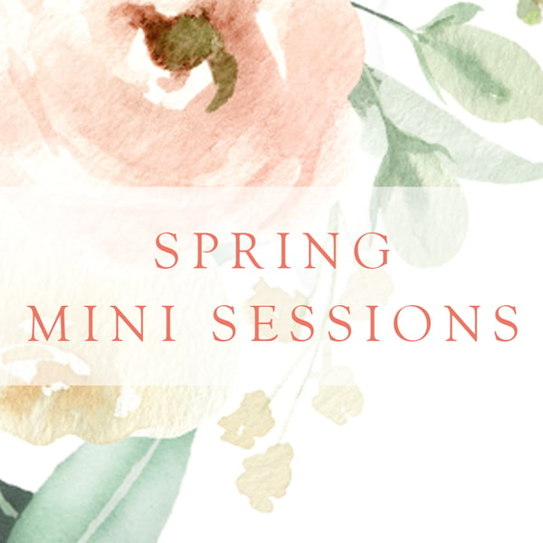 Image of Sunday March 3rd - Spring Mini Session