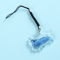Image 4 of Shrimp Phone Charms