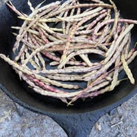 Image 5 of West Texas Mesquite Bean Coffee 