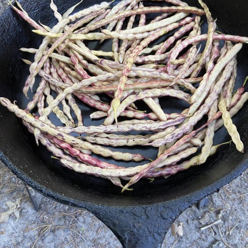 Image of West Texas Mesquite Bean Coffee