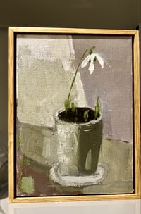 The first snowdrop