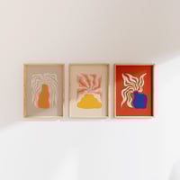 Image 2 of Lorontzi naranja - OUTLET