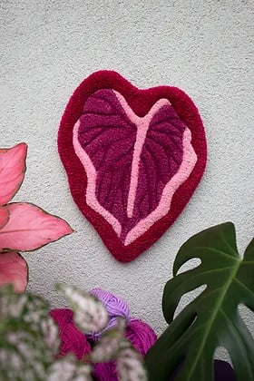 Image of Caladium Rose