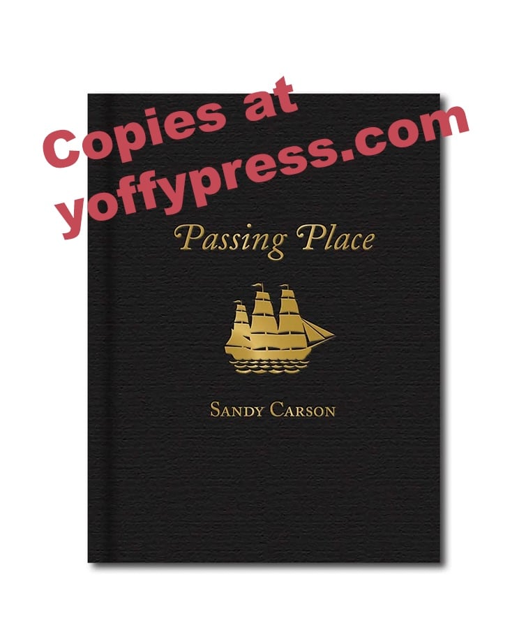 Image of Passing Place book
