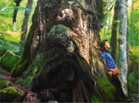 Image 2 of Bajo el roble milenario/ Under the ancient oak