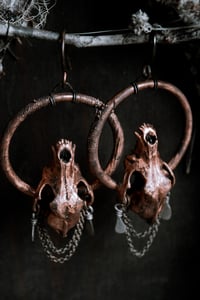 Image 4 of Canine Companions copper ear hangers