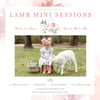2024 Studio Lamb Sessions