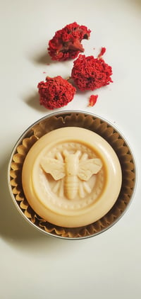 Image 1 of Shea Cocoa Lotion Bar