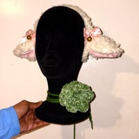 Image 1 of cannabelle