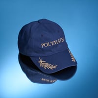 Image 1 of RPT-023: The Polymath Hat