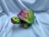 Med-Tortoise 