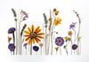 Herbario paisaje de flores silvestres