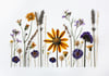 Herbario paisaje flores silvestres