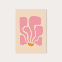 Image 1 of Kamelia