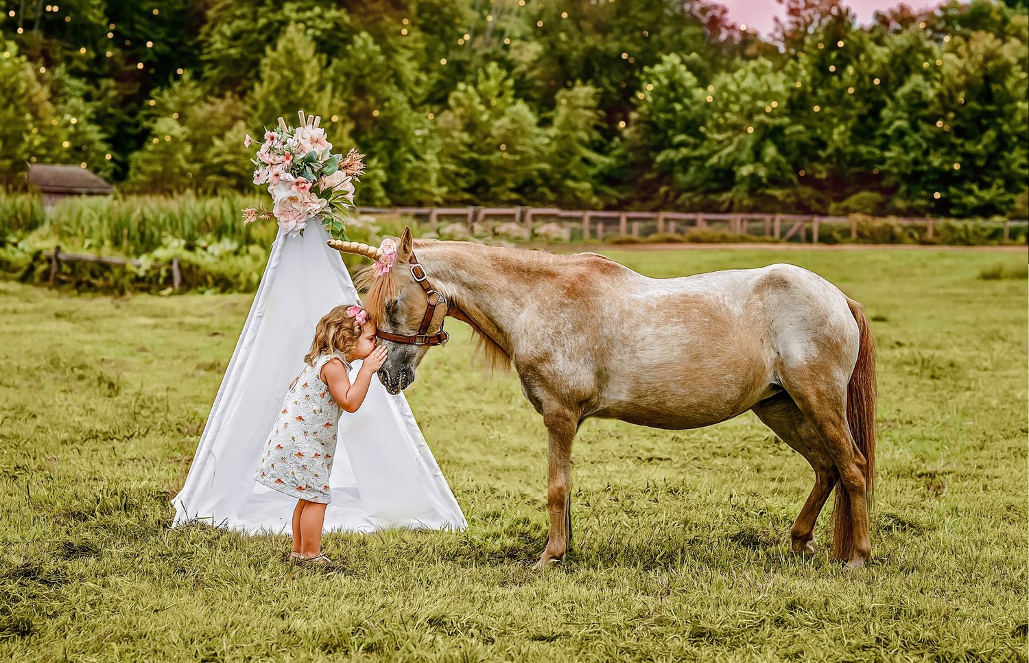 Image of 2025 Stable Sessions