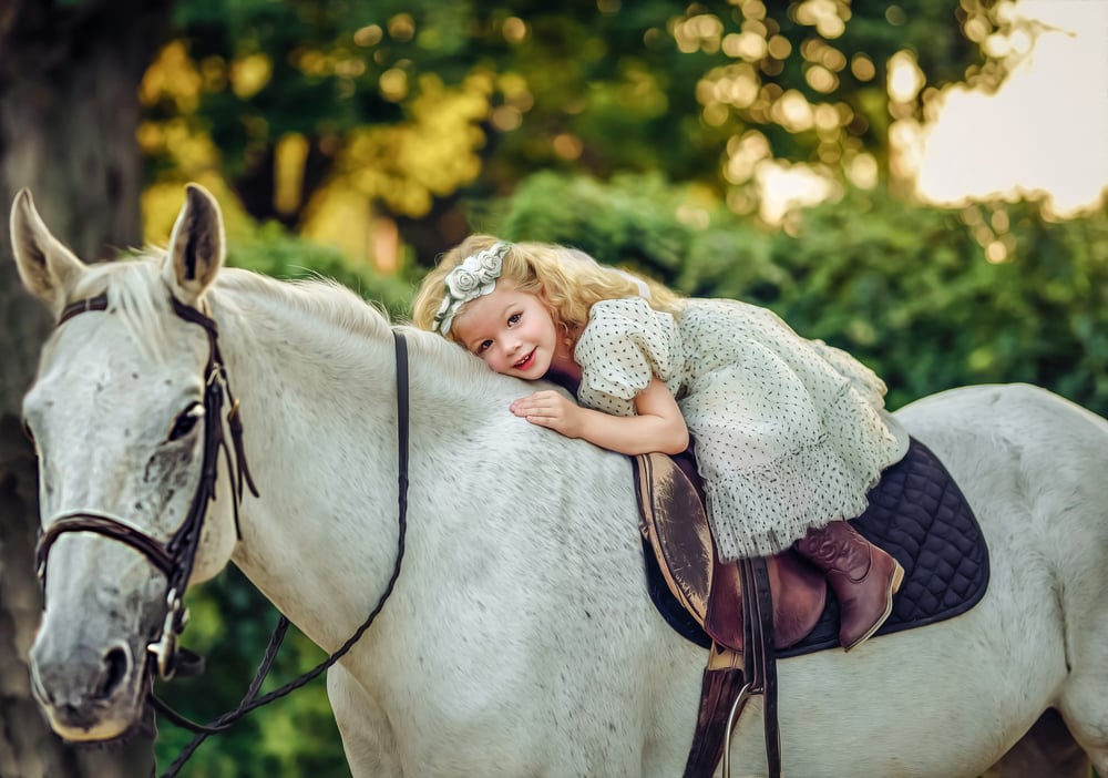 Image of 2024 Stable Sessions 