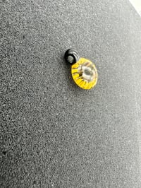 Image 2 of Absolute Krunk Pendant - yellow and black