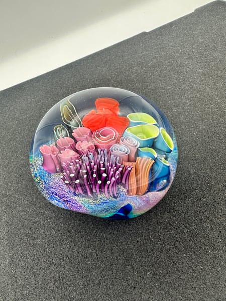 Image of Alex Ubatuba Reef Paper Weight