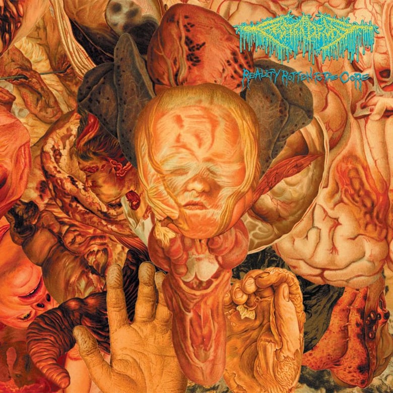 Image of Festerdecay – Reality Rotten to the Core CD
