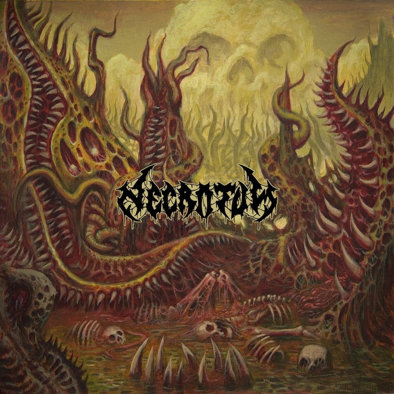 Image of Necrotum – Defleshed Exhumation CD