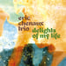 Image of Eric Chenaux Trio 'Delights Of My Life'
