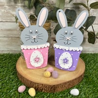 Easter Bunny Magic Money Holder