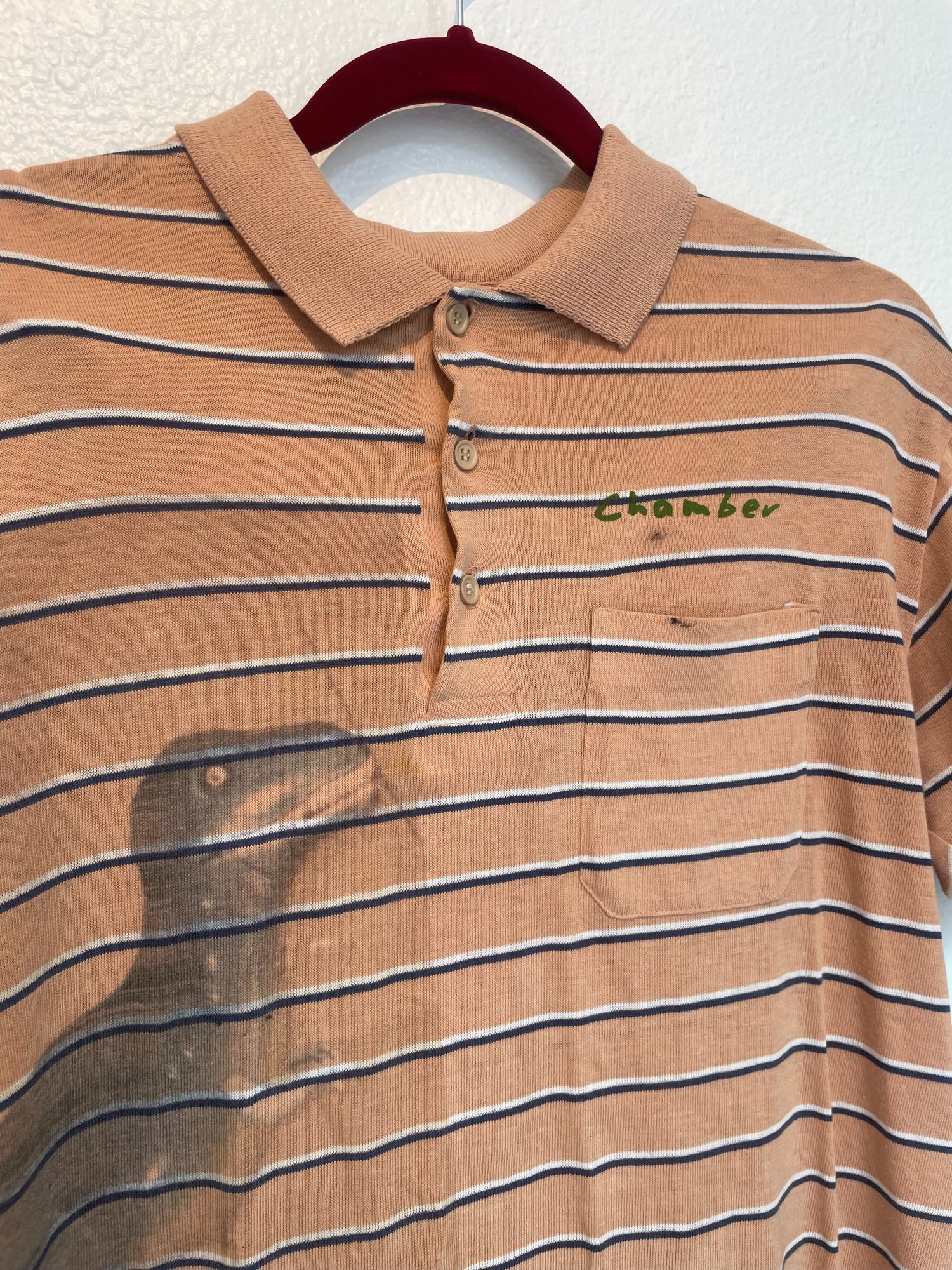 Image of Rawr polo