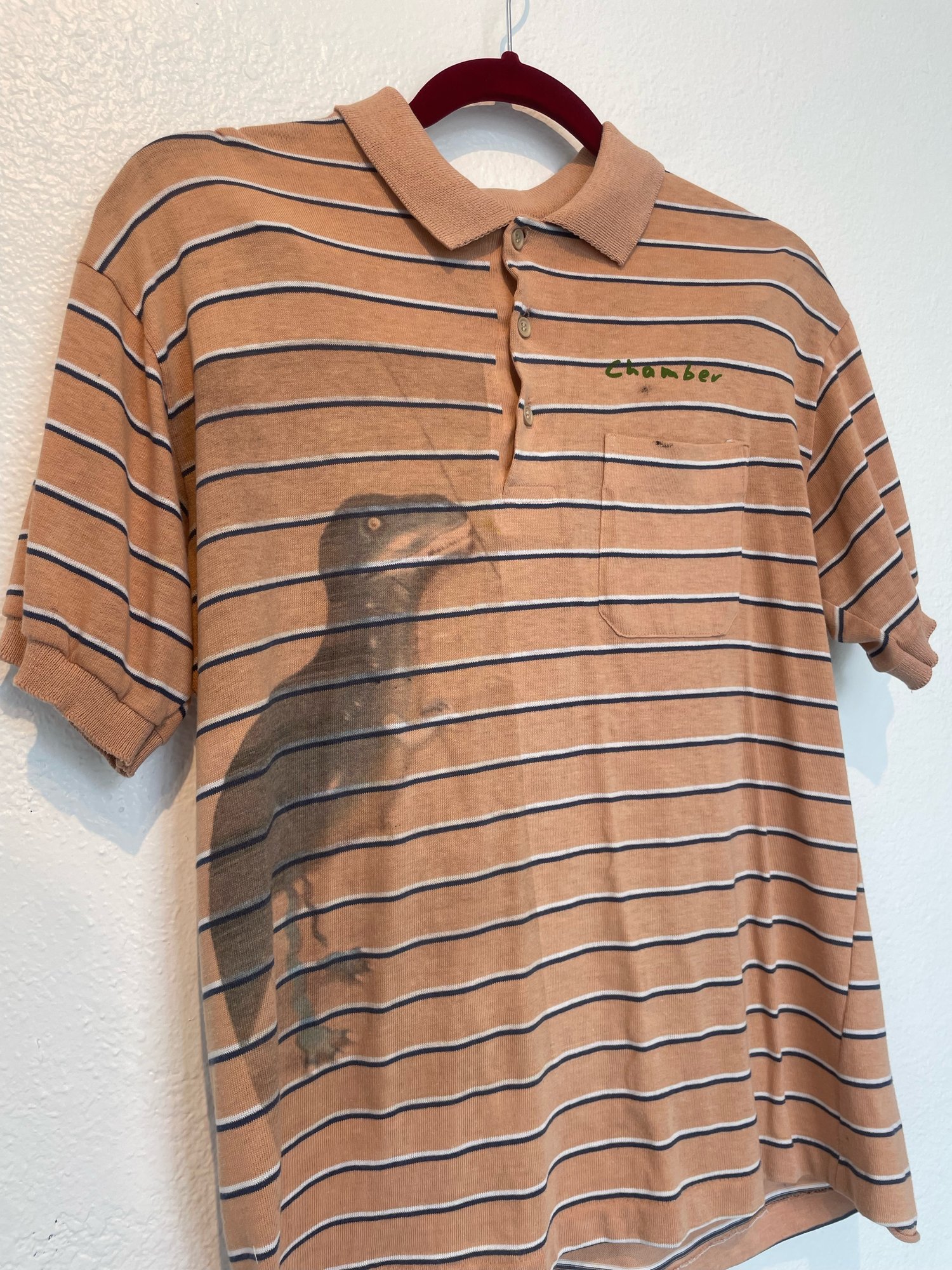 Image of Rawr polo