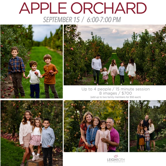 Image of APPLE ORCHARD OUTDOOR SESSION