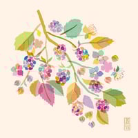 Image 1 of Blossoming Blackberries