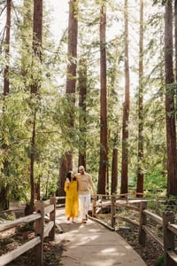 Image 4 of Redwood Park