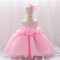 Baby Girl’s Pink Roses Dress