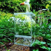 Image 2 of 'The Little Guy' V2 - 2 door jumper house