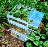 Image 3 of 'The Little Guy' V2 - 2 door jumper house