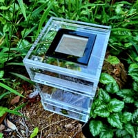 Image 4 of 'The Little Guy' V2 - 2 door jumper house