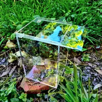 Image 4 of Fossorial 'Middle Man' SALE