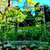 Image 4 of 'The Bulk' - Fossorial