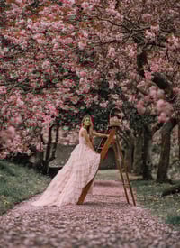 Cherry Blossom Mini-Shoot