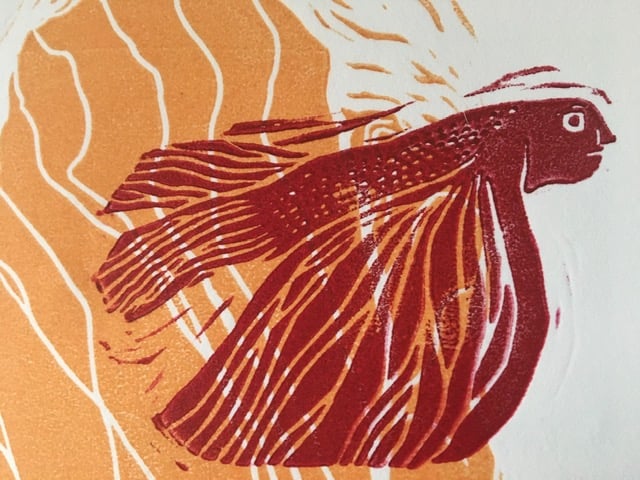 Pesce rosso