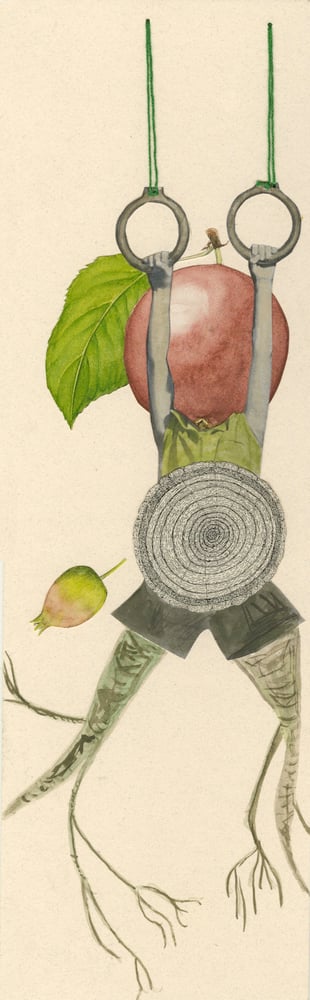 Image of The apple doesn't fall far from the tree. original collage